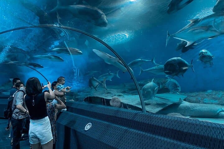 Underwater World Pattaya: 105-Meter Acrylic Tunnel & Interactive Aquarium Experience photo 2