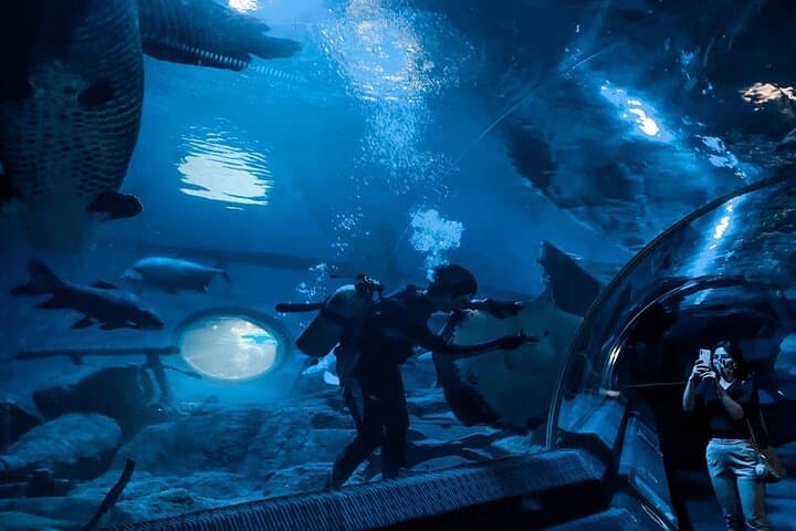 Underwater World Pattaya: 105-Meter Acrylic Tunnel & Interactive Aquarium Experience photo 4