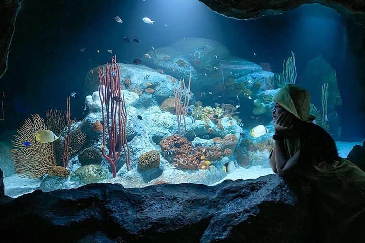 Underwater World Pattaya: 105-Meter Acrylic Tunnel & Interactive Aquarium Experience photo 5