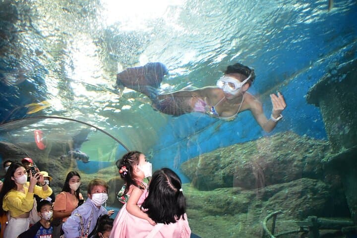 Underwater World Pattaya: 105-Meter Acrylic Tunnel & Interactive Aquarium Experience