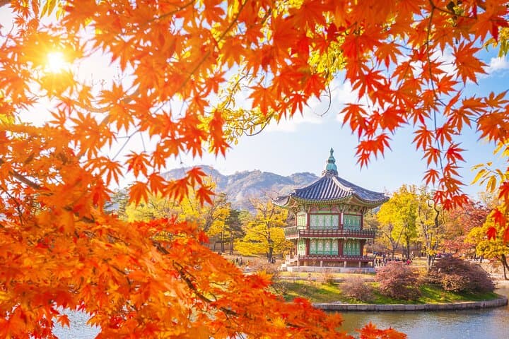 Flexible Private Seoul Guided Tour — Incheon Layover Friendly photo 5