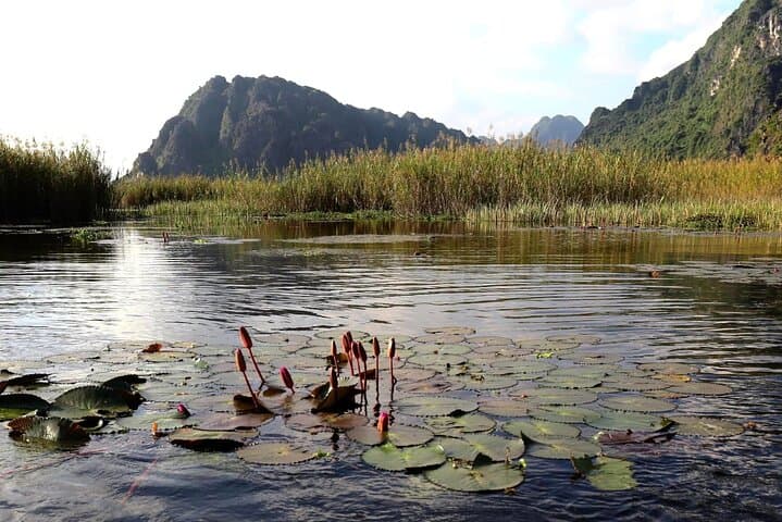 Day in Ninh Binh: Hoa Lu, Trang An Sampan & Mua Cave Climb photo 4
