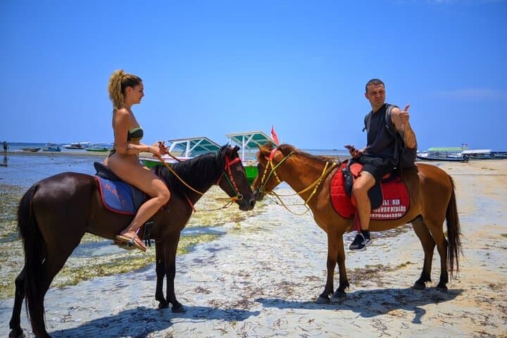 Horseback Riding on Gili Air: 1-Hour Beach Adventure Along White Sand photo 6