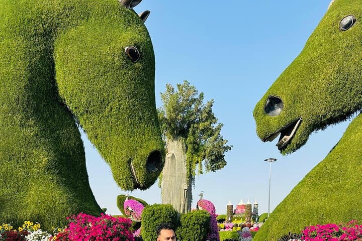 Dubai Miracle Garden: Skip-the-Line Tickets with Hotel Transfers photo 3