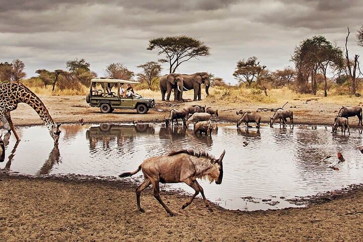 4-Day Masai Mara & Lake Naivasha 4x4 Safari: Game Drives, Boat Trips & Local Culture photo 6