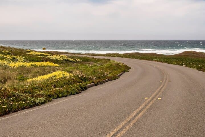 Point Reyes Self-Guided Audio Driving Tour: Lighthouse, Beaches & Wildlife photo 2