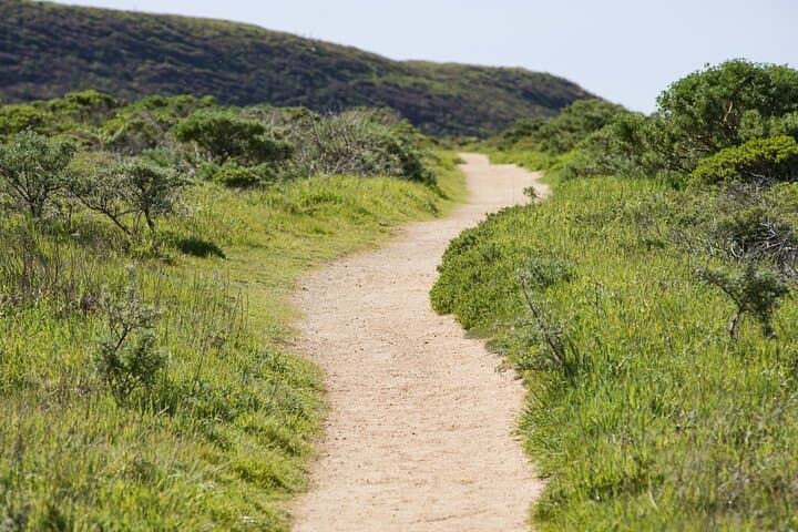 Point Reyes Self-Guided Audio Driving Tour: Lighthouse, Beaches & Wildlife photo 3