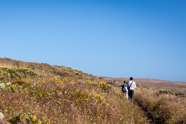 Point Reyes Self-Guided Audio Driving Tour: Lighthouse, Beaches & Wildlife photo 4