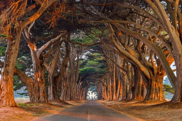 Point Reyes Self-Guided Audio Driving Tour: Lighthouse, Beaches & Wildlife photo 6