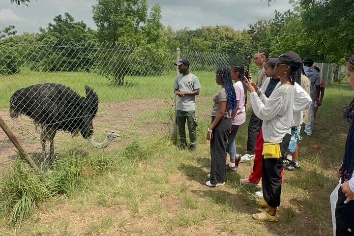 Accra to Shai Hills & Volta River: Private Full-Day Guided Tour photo 2