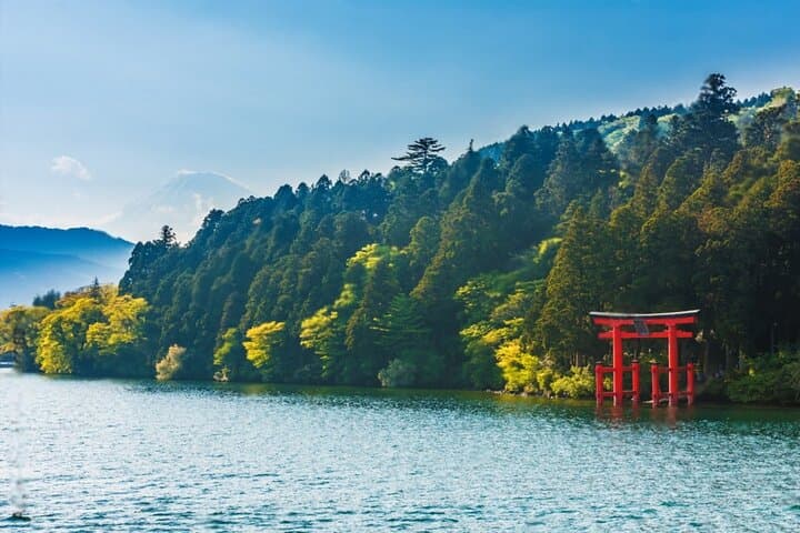 Mt Fuji & Hakone Private Day Tour — Pagoda Views, Ropeway and Lake Ashi Cruise photo 5