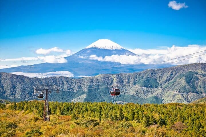 Mt Fuji & Hakone Private Day Tour — Pagoda Views, Ropeway and Lake Ashi Cruise