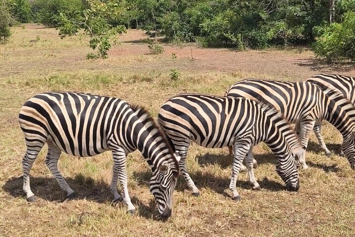 Accra Full-Day Safari and Lake Volta Boat Cruise — Shai Hills Private Tour photo 1