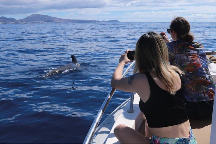 Cetacean Encounters off Costa Adeje — Whale Watching in Tenerife South photo 6