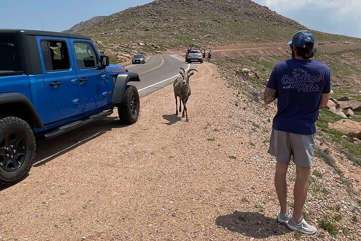 Private Full-Day Jeep Tour to Garden of the Gods & Pikes Peak from Denver photo 5