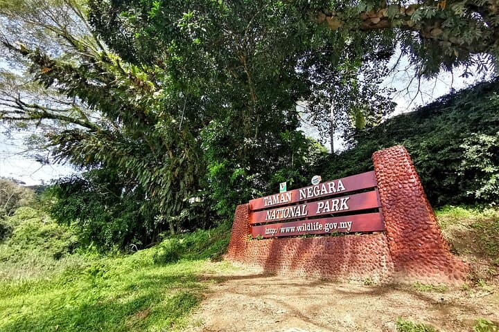 Taman Negara Full-Day Trek: Jungle Trekking, Rapids & Canopy Walk from Kuala Lumpur