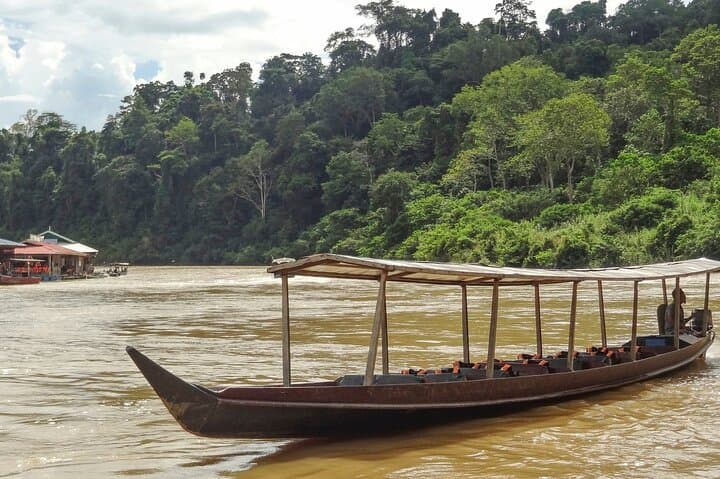 Taman Negara Full-Day Trek: Jungle Trekking, Rapids & Canopy Walk from Kuala Lumpur photo 2