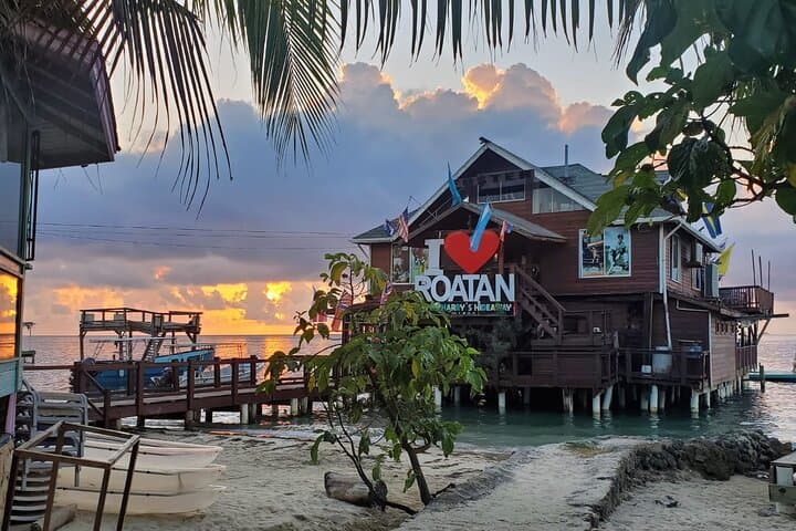 Roatán West Side: West Bay Snorkel, Emerald Beach & Island Flavors
