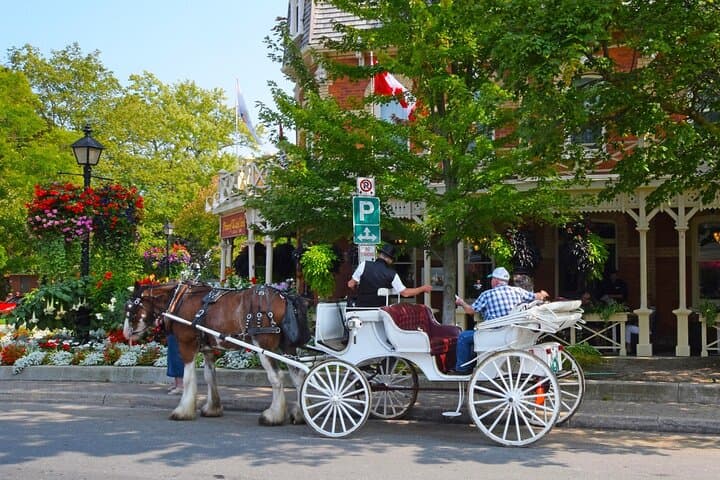 Niagara Falls Private Tour with Portuguese Guide — Full-Day Walk & Winery Visit photo 3