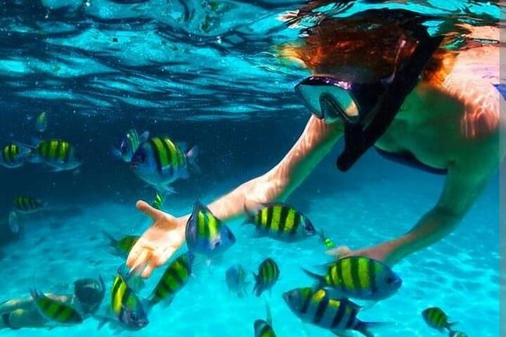 Roatán West Side: West Bay Snorkel, Emerald Beach & Island Flavors photo 3