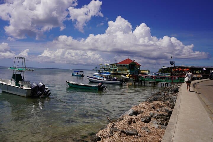 Roatán West Side: West Bay Snorkel, Emerald Beach & Island Flavors photo 6