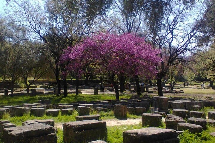 Private Guided Tour of Ancient Olympia: Archaeological Site & Museum Experience photo 2
