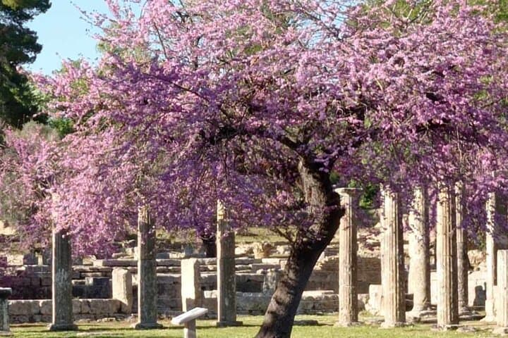 Private Guided Tour of Ancient Olympia: Archaeological Site & Museum Experience photo 3