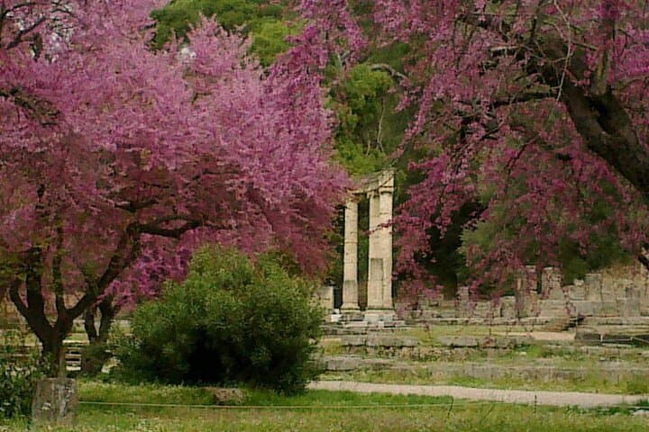 Private Guided Tour of Ancient Olympia: Archaeological Site & Museum Experience photo 4