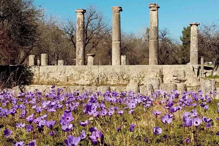 Private Guided Tour of Ancient Olympia: Archaeological Site & Museum Experience photo 5