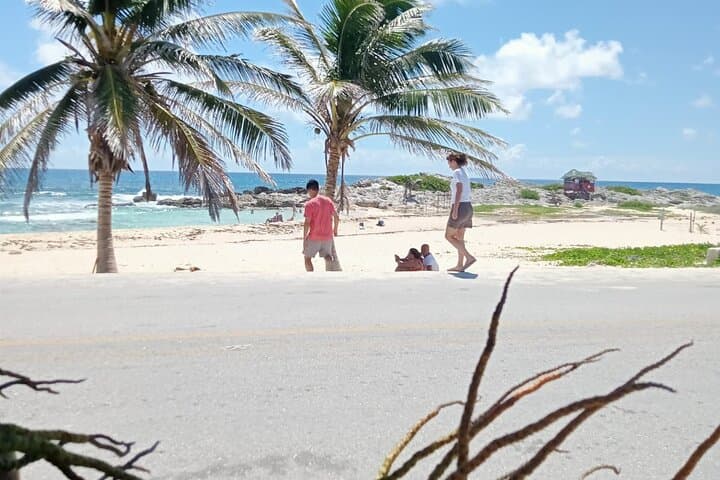 Cozumel Best Spots: Beach, Mayan Park & Downtown in One Day photo 4