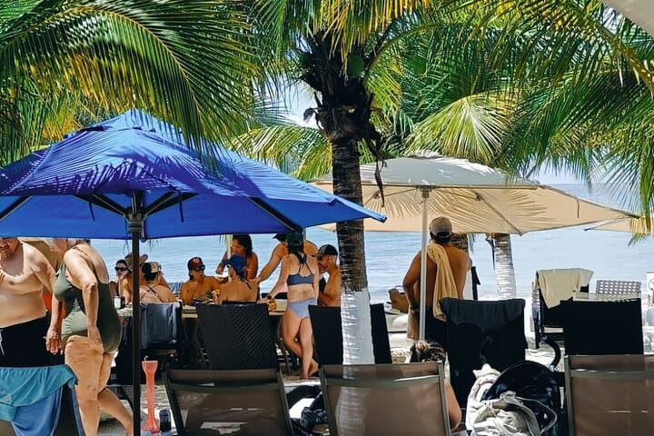 Cozumel Best Spots: Beach, Mayan Park & Downtown in One Day photo 5