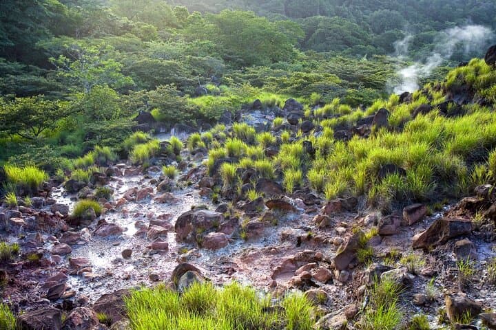 Rincón-de-la-Vieja-Volcano-and-Oropendola-Waterfall-Private-Tour photo 5