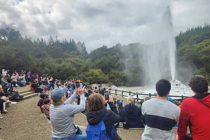 Full-Day Wai-O-Tapu, Huka Falls & Blue Spring Private Tour from Auckland photo 2