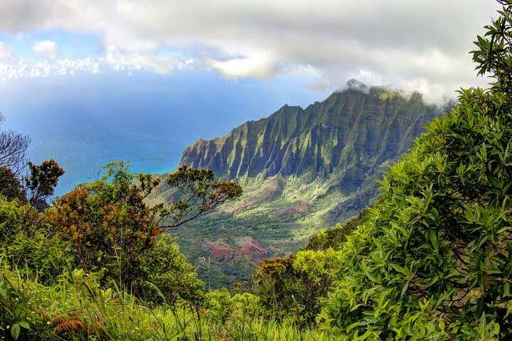 Waimea Canyon Private Day Tour from Princeville: Luxury SUV Journey Across Kauai