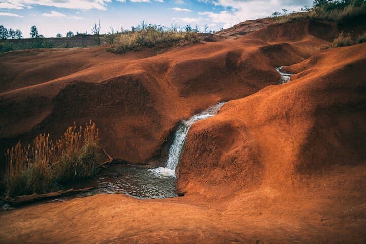 Waimea Canyon Private Day Tour from Princeville: Luxury SUV Journey Across Kauai photo 6