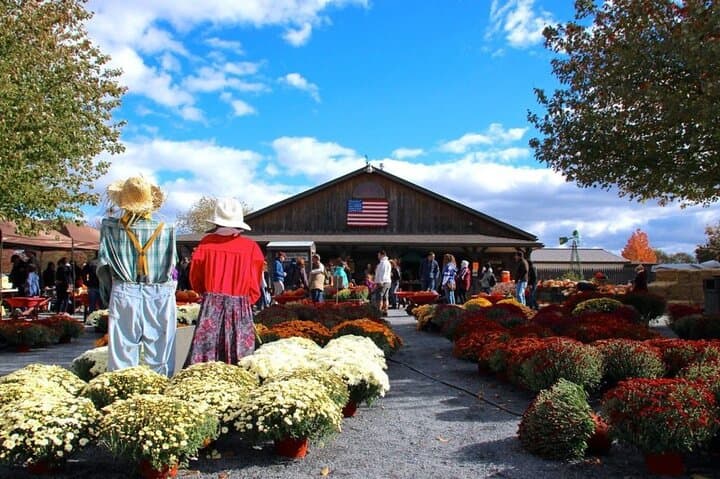 Kittatinny Farm Day Trip from NYC — Apple Picking, Corn Maze & Hayrides photo 4