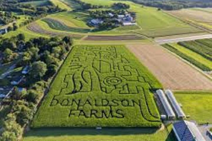 Kittatinny Farm Day Trip from NYC — Apple Picking, Corn Maze & Hayrides photo 2