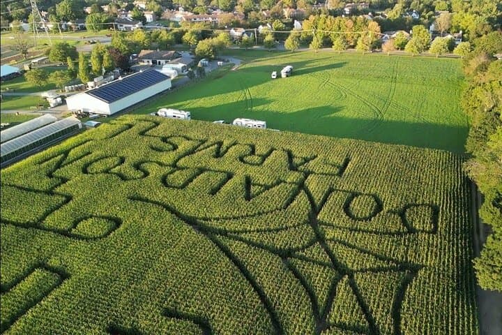Kittatinny Farm Day Trip from NYC — Apple Picking, Corn Maze & Hayrides