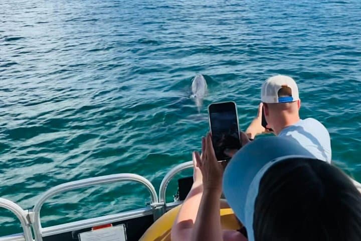 Destin Pontoon Cruise: 90-Minute Harbor & Choctawhatchee Bay Tour photo 2