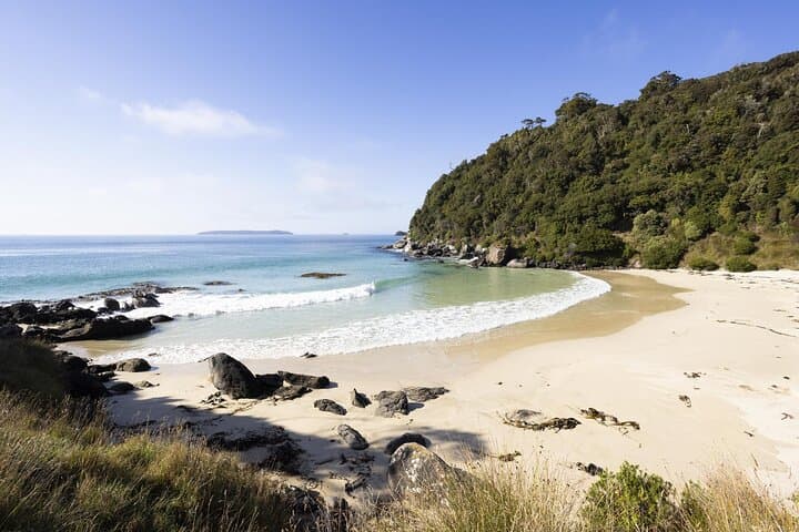 Guided Wilderness Walk to Oneke (The Neck) on Stewart Island Rakiura photo 3