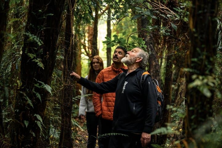 Guided Wilderness Walk to Oneke (The Neck) on Stewart Island Rakiura photo 2