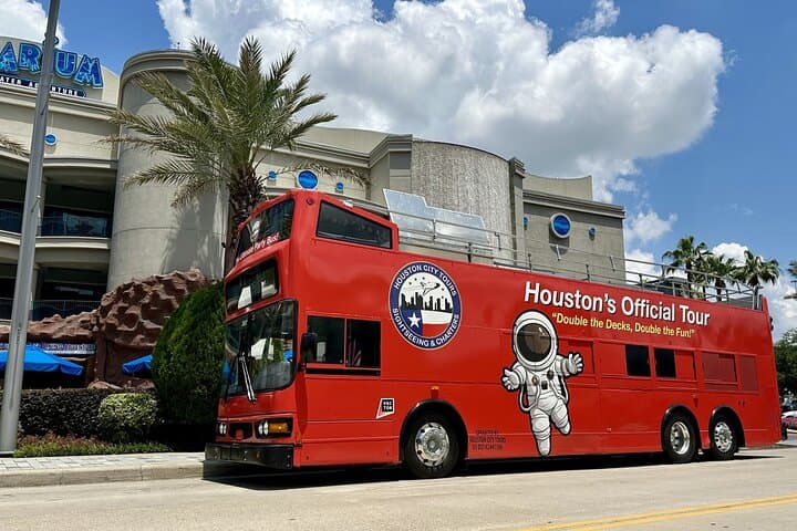 Houston City & Mural Tour: Open-Top Sightseeing Around Downtown photo 4