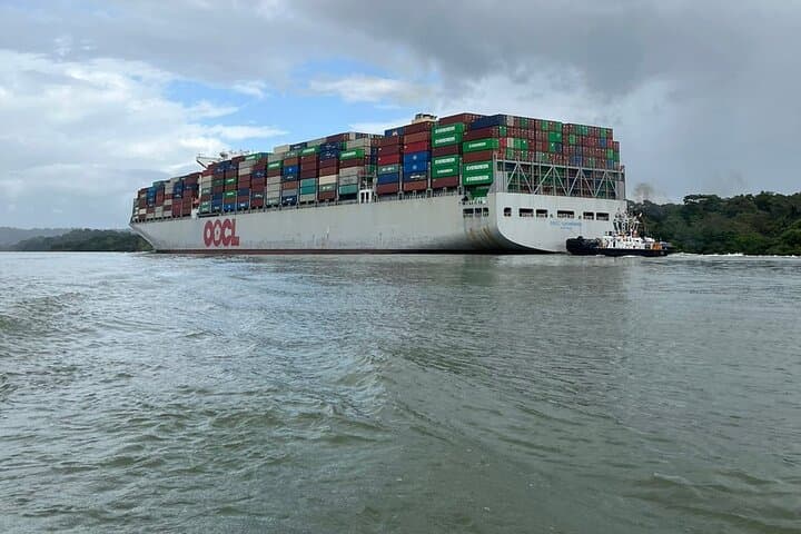 Gatun Lake 3.5-Hour Boat Tour — Panama Canal Ship-Watching & Wildlife photo 3
