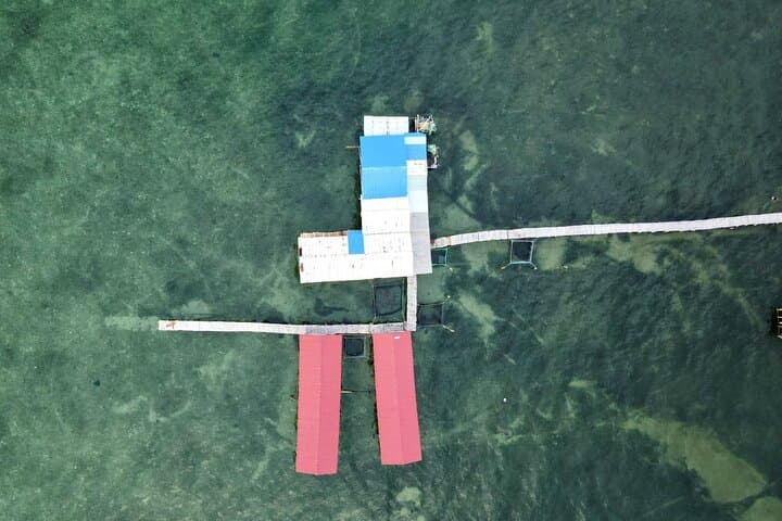 Starfish Beach & Rach Vem Floating Village Boat Trip with Seafood Lunch photo 6