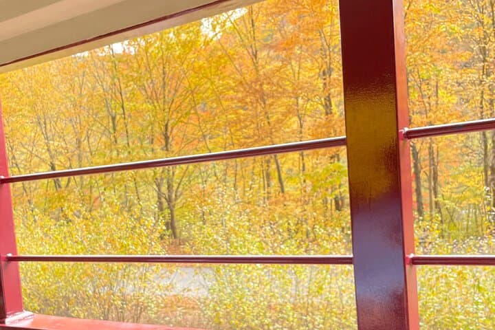 Jim Thorpe Day Trip from NYC: Swiss-Town Charm & Lehigh Gorge Train photo 6