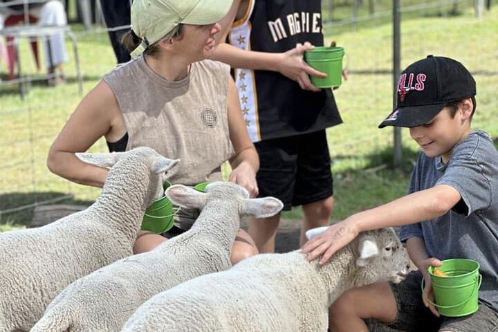 Private Alpaca Feeding & Ipswich Wildlife Day Tour from Brisbane photo 3