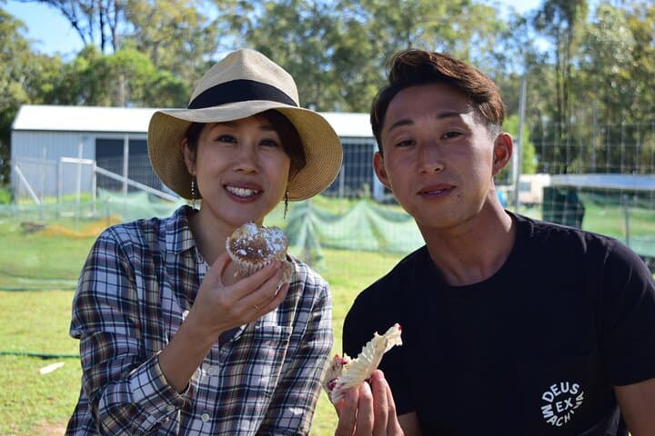 Private Alpaca Feeding & Ipswich Wildlife Day Tour from Brisbane photo 6
