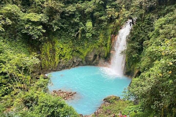 Rio Celeste Hike, Sloth Forest & Coffee Tour from Guanacaste