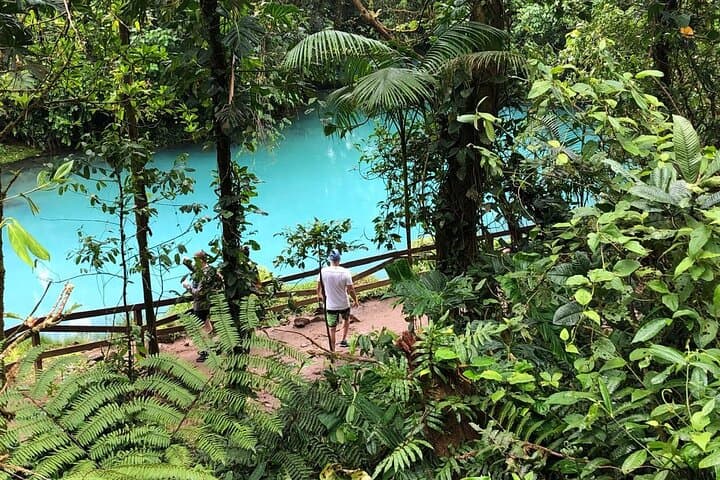 Rio Celeste Hike, Sloth Forest & Coffee Tour from Guanacaste photo 2