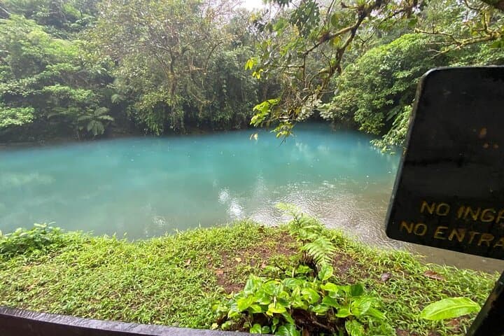 Rio Celeste Hike, Sloth Forest & Coffee Tour from Guanacaste photo 5